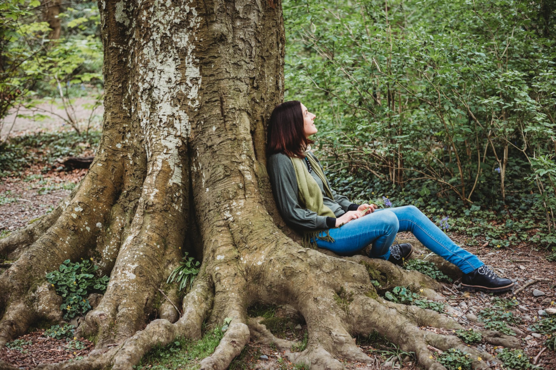 Person sat at ease with back againt a beech tree