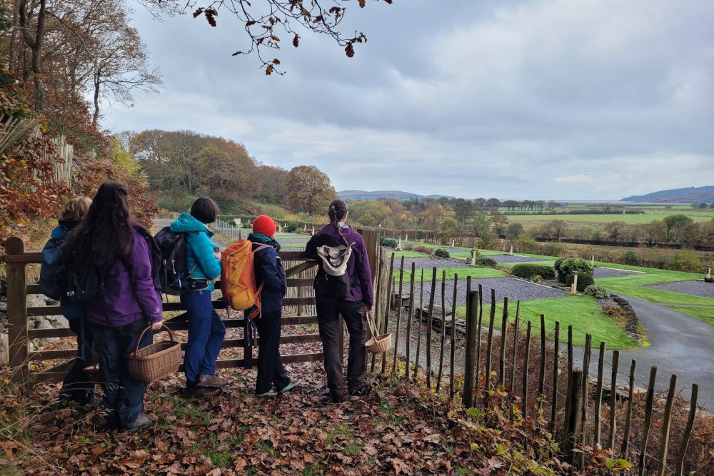 People admiring the view while foraging in nature.