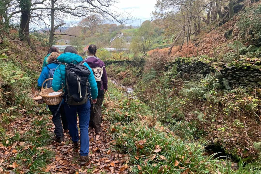 People on a foraging adventure in the woods