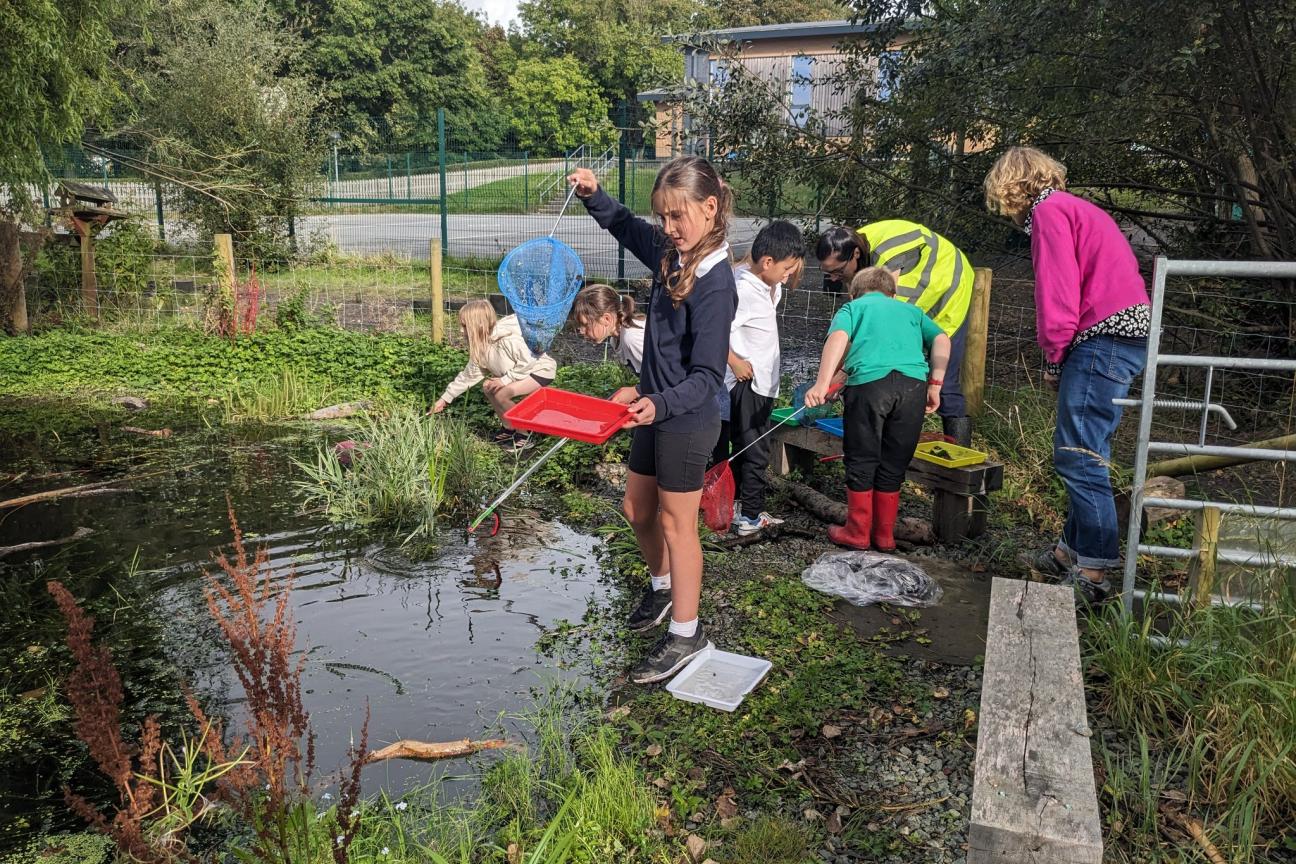 Children pond dipping at a forest school session