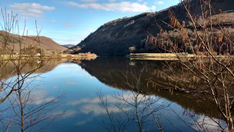 Reflections on the Rheidol River_Mid Wales_Ceredigion nature