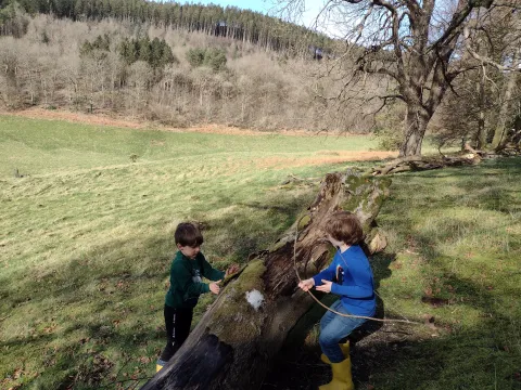 Children role playing with hand made bow & arrow and climbing trees