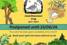 Poster with the key event details shown: text reads "postponed until 15/06/26. 1pm-5pm at Coed Rhosmaencrug.