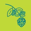 Spring green foraging icon depicting low hanging fruit